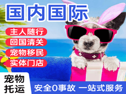 芜湖空运国际宠物托运 【国